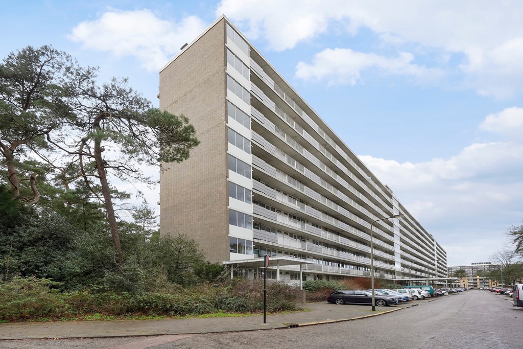 Anna Paulownalaan 172_04.jpg